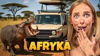 Najczęściej Odwiedzane Safari z Zanzibaru…