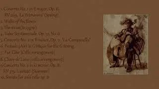POV a cello is playing next door //~classical playlist~//