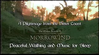 Sleep Music from Morrowind, Relaxing Walk across Bitter Coast