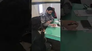Dandruff se fight 🤜😭😭 | daily life vlogs