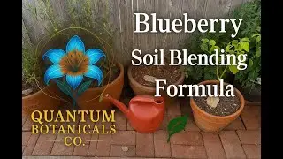 Blueberry Soil Blending Formula | OG Berry V1.1 by Quantum Botanicals