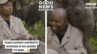 Shavo the Elephant Heard His Name – and Stole the Show!