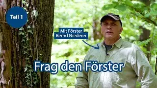 Frag den Förster (Teil 1)