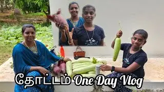 👍தோட்டம் One Day Vlog🤷‍♀️||தோட்டத்தில் காய்கறி அறுவடை🥒🍆🍅