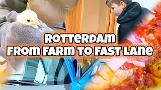 Chickens to Porsches to Pizza: A Rotterdam Day 🐥🚘🍕