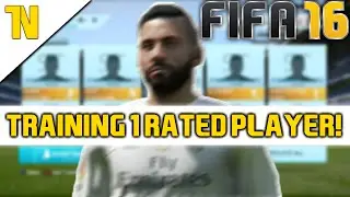 FIFA 16  CAREER MODE | TRAINING 1 RATED PLAYER TO 99? | #2