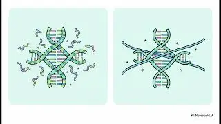 How can scientists know what's in your genome?