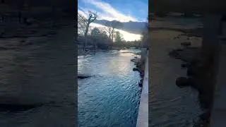 Nature In the City. In Reno nature is never too far. RenoNevada  #LakeTahoe #TruckeeRiverViews