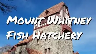 Fish Hatchery California History