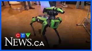 Science Literacy Week kicks off at Harbourfront Centre