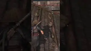 Burg Mibuno - Daishou get&ouml;tet in AssassinsCreedShadows | #kcollies auf #Twitch