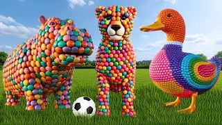 Unboxing Candy Animals 🐯🦁 From Candy to Real Animals | Amazing Animal Transformation