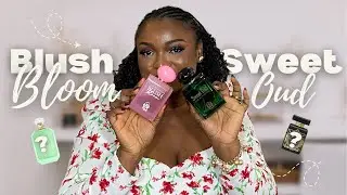 Sweet Oud & Blush Bloom from Beguile By Omaa Perfume Review
