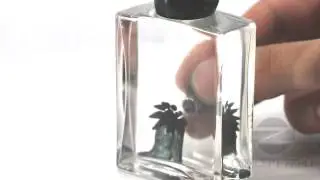 Concept Zero Ferrofluid Display Bottle - Color Palettes 7