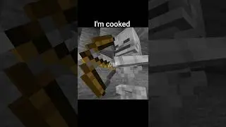 Pov: bedrock skeleton #minecraft
