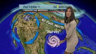 Elisa Raffa - KOLR 10 Weather, Friday 11AM 8/25/17