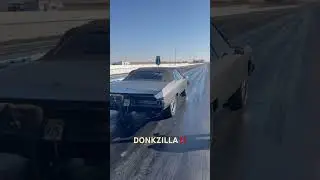 Donkzilla making a shakedown