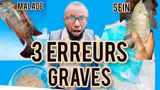 Voici pourquoi vous perdez de l'argent en nourrissant mal vos tilapias (3 erreurs à bannir)