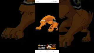Ranking Wildmutt Designs.