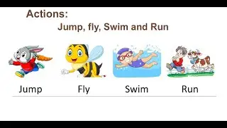 Actions: Jump, Fly, Swim and Run.