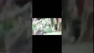 Allegedly this is a leaked new footage of the Varginha Alien  #alien #brazil #extraterrestrial
