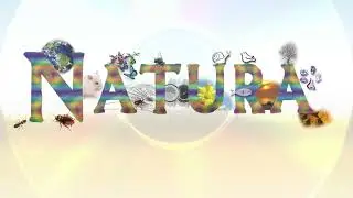 Natura (álbum completo) 2010 - RamRom