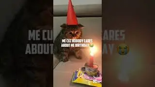 #sad #cat #birthday