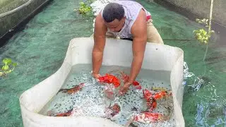 Bailarinas o Goldfish la dejaron doblada