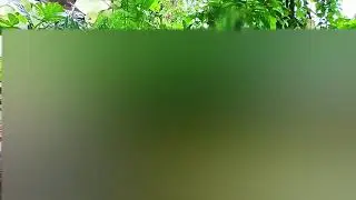 Kisah imam agung syekh Asnawi caringin Banten [ Abuya Uci turtusi ]