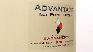 Best Bead Filter for Your Koi Pond - Advantage Bead Filter