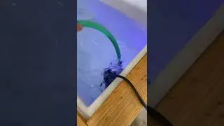 Best way to drain your DIY Cold Plunge ✅