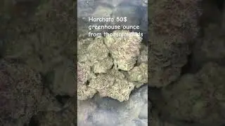 Thcasmallbuds cheap greenhouse ounce
