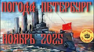 2025.11.26. Погода Петербург. 15:48. +1,5&deg;. Главный корреспондент отдыхает от командировки.