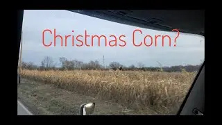 Food Shortage - December Update