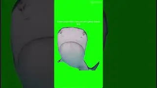 Bet you can't greenscreen this! #greenscreen #memes #funny #fishing #shark #gorillatagquest #vr