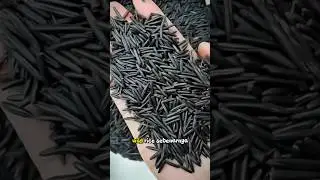 Panen wild rice atau beras liar. 😲‼️ yang kaya akan protein. #short #shorts #trending #serubros