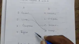 21. Match column A with B || Class 2 English
