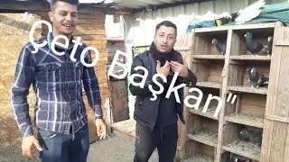 Adana  Yerli kuşları serisine devam ..