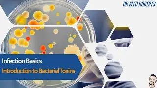 Introduction to Bacterial Toxins