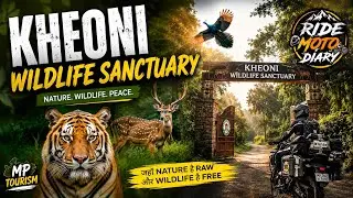 KHEONI WILD LIFE SANCTUARY I HIDDEN FOREST IN MADHYA PRADESH 170KM FROM INDORE I BEAUTY OF WILD LIFE