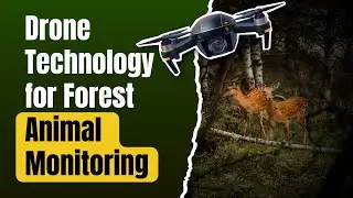 Forest Animal Monitoring Drone Tech | Thermal Imaging & Aerial Analytics