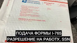 ПОДАЧА ФОРМЫ I-765 | РАЗРЕШЕНИЕ НА РАБОТУ, SSN