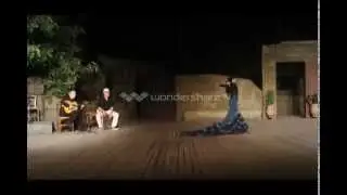 INTERNATIONAL DANCE COUNCIL ATHENS 2014