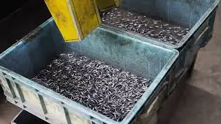 Professional lever arch file clips manufacturer