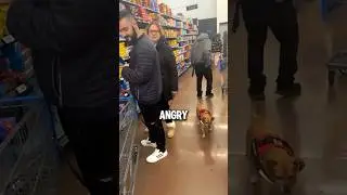 Сначала они были так растеряны...🤣 (@valentinolittlebaby)