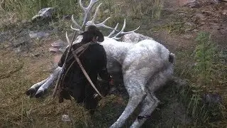 Hunt The Legendary Elk - Red Dead Redemption 2