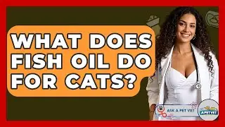 What Does Fish Oil Do For Cats? - Ask A Pet Vet