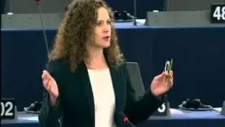 Sophia IN 'T VELD 16 Jan 2014 plenary speech on Non discrimination in the framework of sexual