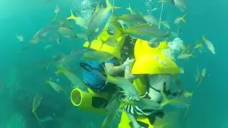 BOSS Breathing Observation Submersible Scooter (no auto-youtube stabilization)