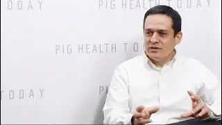 Linhares: Digging deeper into PRRS outbreak management
